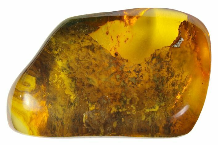 Polished Chiapas Amber ( g) - Mexico #114786